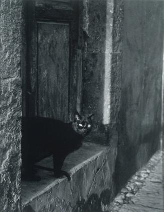 Untitled (Puerto Vallarta, Jalisco)