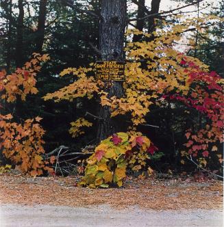 October 1981, Rangeley, Maine