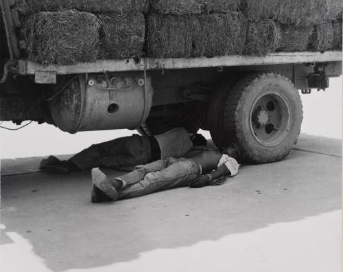 Descansando (Resting)