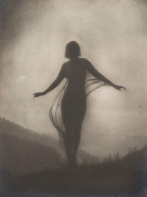 The Breeze