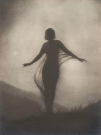 The Breeze