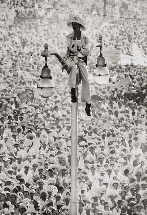 Don Quixote of the Lamppost (El Quijote de la farola)
