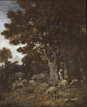 Shepherdess and Sheep