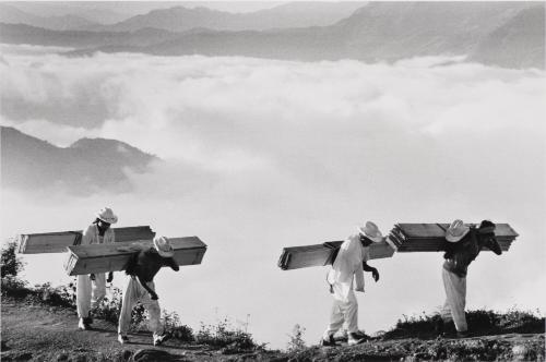 Wood Delivery Men, Eastern Sierra Madre, México