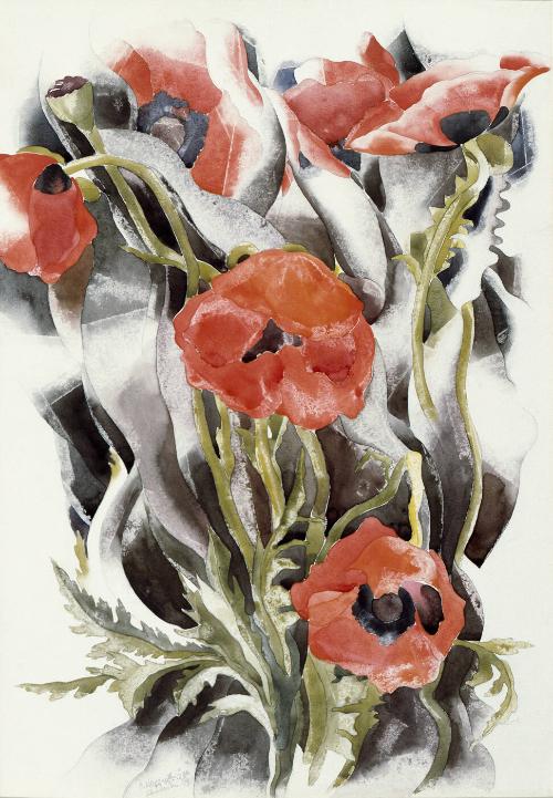 Poppies