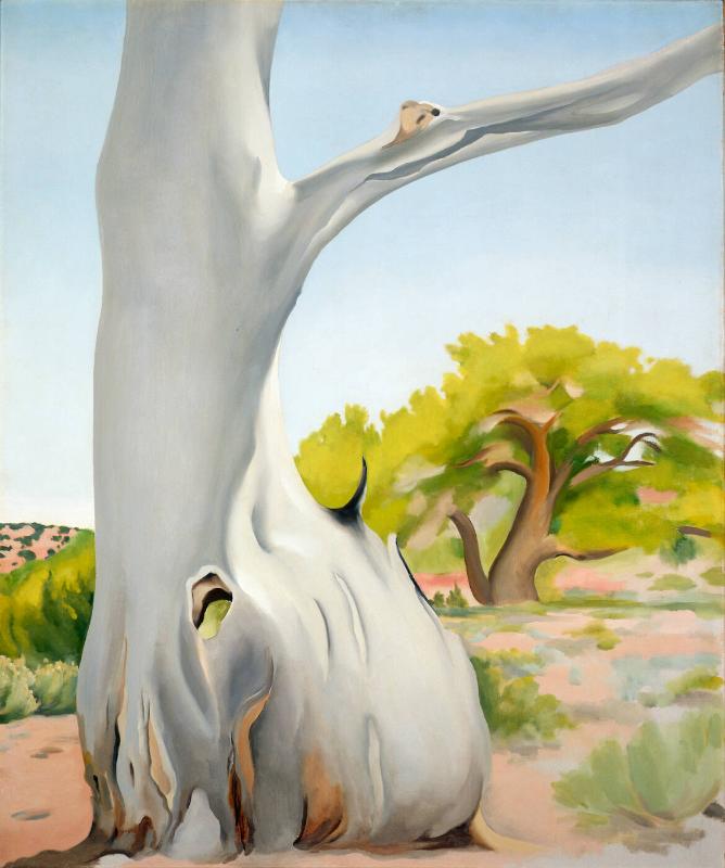 Dead Cottonwood Tree – Works – Collections at SBMA | Santa Barbara