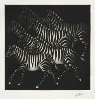 Zebras