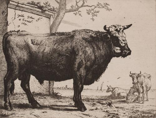Paulus POTTER