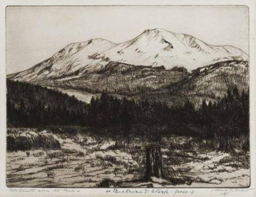 Mount Shasta above the Pines