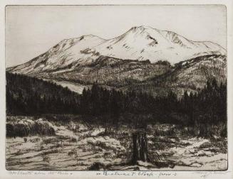Mount Shasta above the Pines