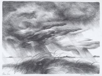 Storm Sky
