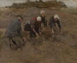 Two Women and a Man Harvesting Potatoes