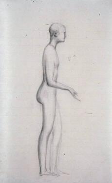 Male Nude