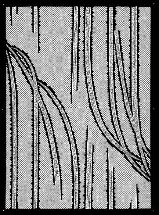 Willow Boughs on a Diamond Lattice