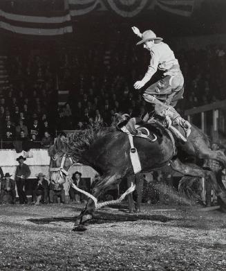 Action at the Rodeo