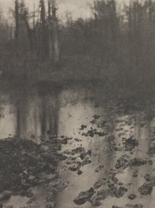 Landscape--Evening