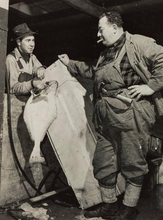 Dock Workmen Inspecting Flounder Caught off the New England Coast