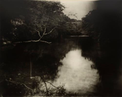 Sally MANN