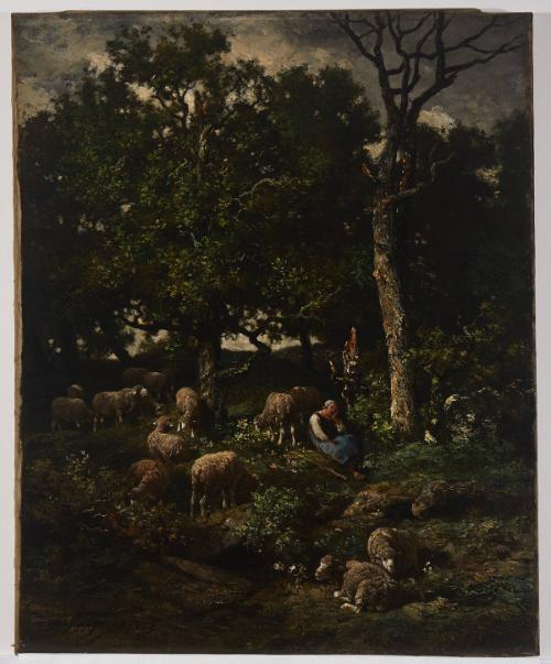 The Shepherdess