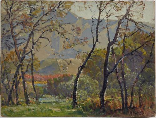 Sunlit Grove