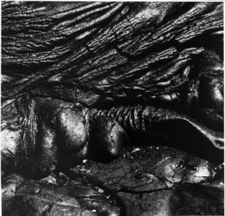 Volcano 91, 1980