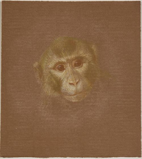 Rosalba