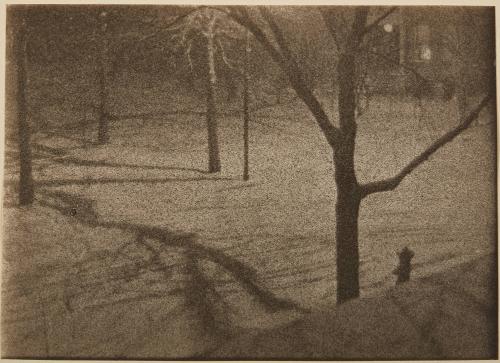 Snow Scene