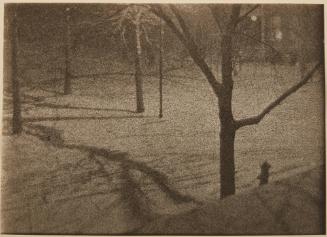 Snow Scene