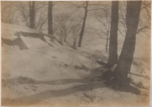 Trees and Snowy Hill