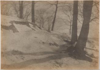 Trees and Snowy Hill