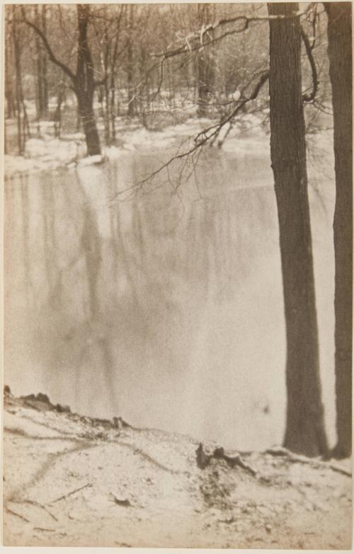 Lake with Leafless Trees