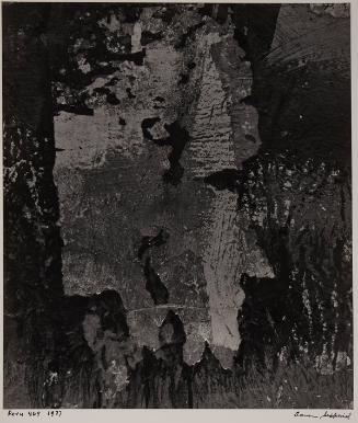 Peru 409, 1977