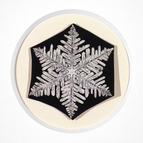 Untitled (Snowflake #18)