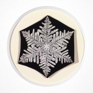 Untitled (Snowflake #18)