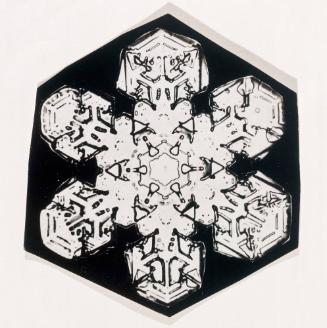 Untitled (Snowflake #20)