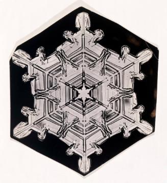 Untitled (Snowflake #21)