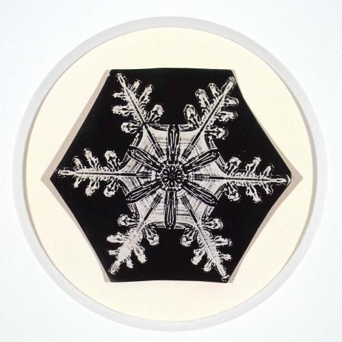 Untitled (Snowflake #2)