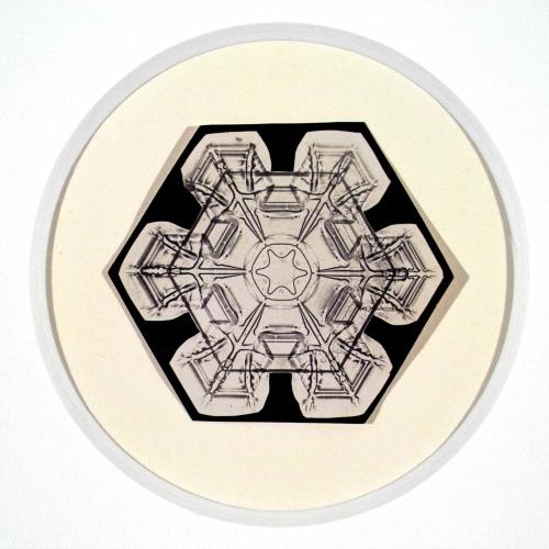 Untitled (Snowflake #5)