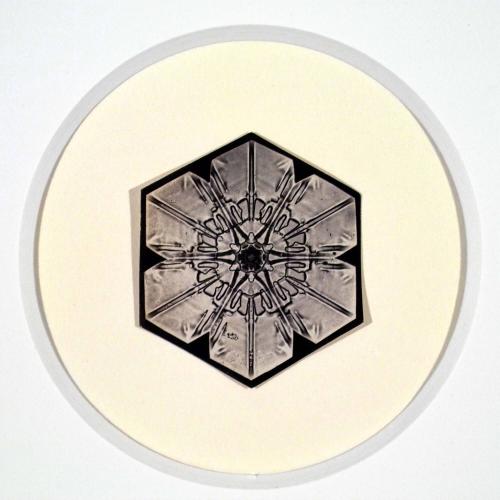 Untitled (Snowflake #8)