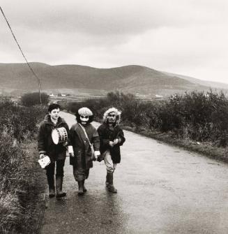 Wren's Day, Ireland