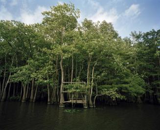 Berry Bay, LA