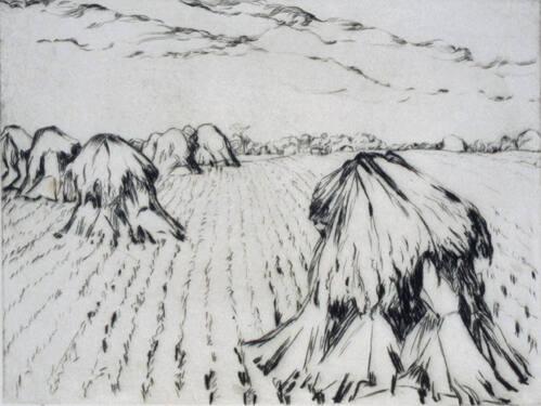 Oat Sheaves