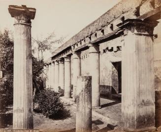 Ercolano. Casa di Argo