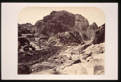 The Cypress and Elijah's Chapel, with Summit of Jebel Músá