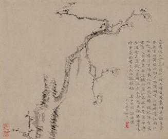 Flowering Plum 梅華詩畫冊