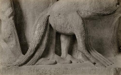 The Treasury of the Siphnians at Delphi. Studies in the History and Criticism of Sculpture, Volume IV