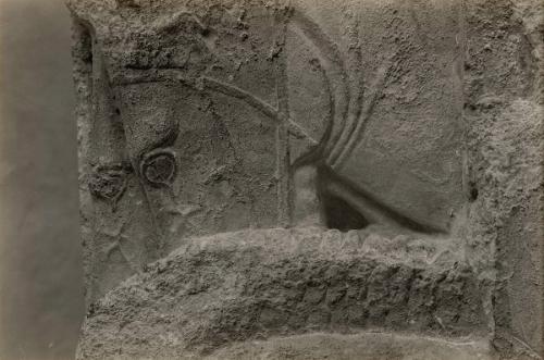 The Treasury of the Siphnians at Delphi. Studies in the History and Criticism of Sculpture, Volume IV
