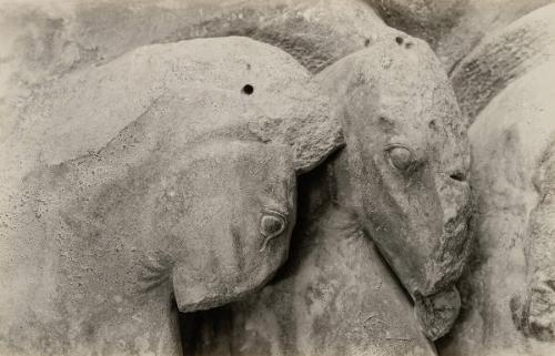 The Treasury of the Siphnians at Delphi. Studies in the History and Criticism of Sculpture, Volume IV