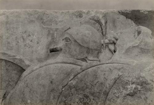 The Treasury of the Siphnians at Delphi. Studies in the History and Criticism of Sculpture, Volume IV