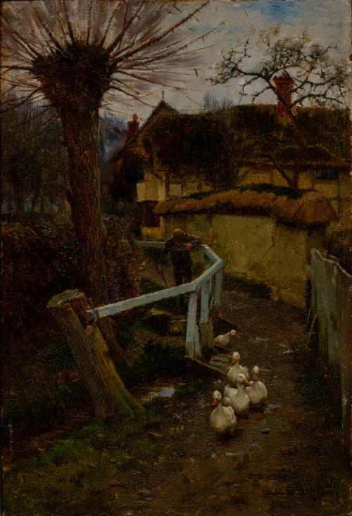 Boy and Ducks